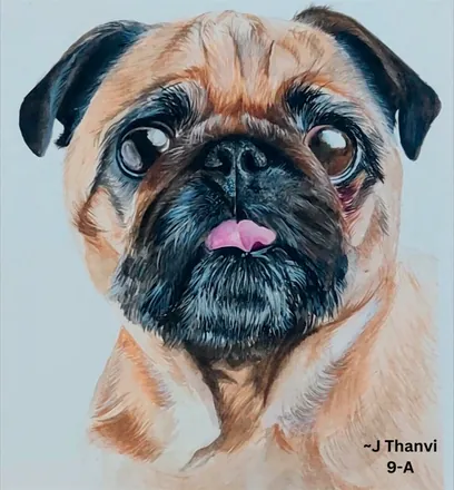 A pug's face in warm browns, tongue out