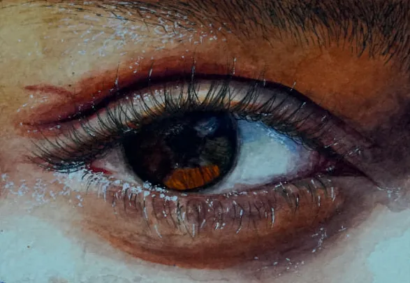 A close study of a brown eye