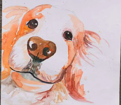 A dog's face in soft orange washes