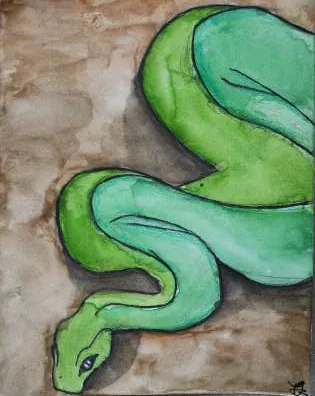 A green snake coiled on a brown wash
