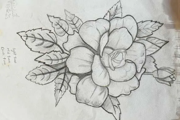 A large rose with leaves, in pencil
