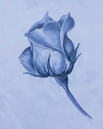 A blue rosebud on a long stem