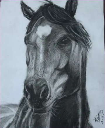 A horse’s head drawn in charcoal