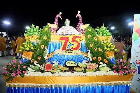 A tiered display of carved fruit and flowers lit at night, with two peacocks at its sides, swans, and the words Chinmaya Amrit Mahotsav and 75 Years
