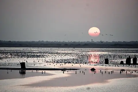 The sun setting over water and distant birds