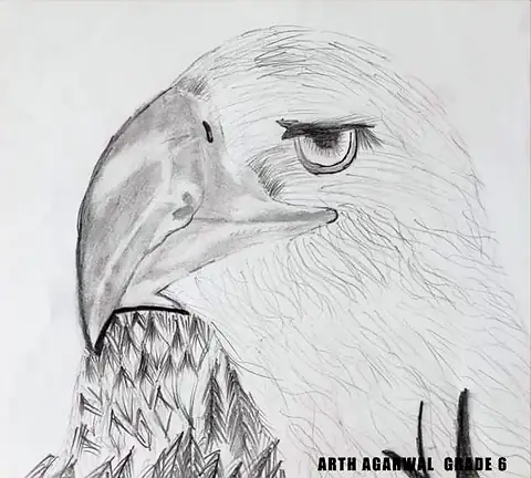 An eagle's head in grey, feathers finely shaded
The Crossroads, Issue 07 · April 2023