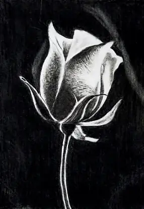 A single white rose on black
The Crossroads, Issue 12 · Anand Utsav issue