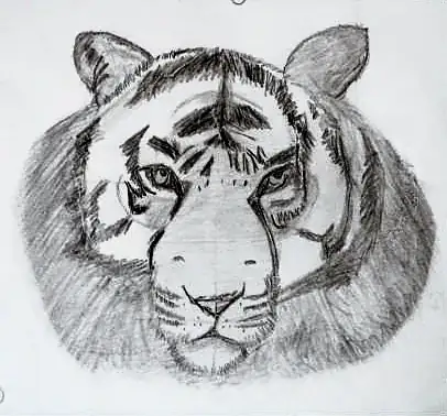 A tiger's face in grey
The Crossroads, Issue 12 · Anand Utsav issue