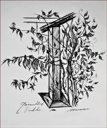 A doorway overgrown with climbing leaves, in black ink
The Crossroads, Issue 13 · November–December issue