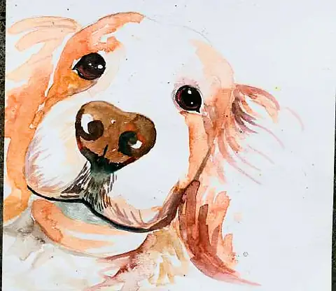 A dog's face in soft orange washes
The Crossroads, Issue 18 · August 2024
