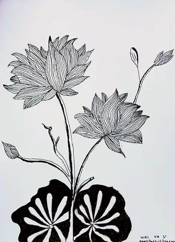 Lotuses above a patterned leaf, in black ink
The Crossroads, Issue 24 · May 2025