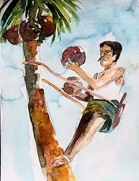 A man climbing a coconut palm, passing coconuts down
The Crossroads, Issue 25 · July 2025