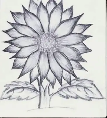 A large sunflower-like bloom, in pencil
The Crossroads, Issue 26 · Anand Utsav issue