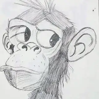 A monkey with large eyes, in grey
The Crossroads, Issue 27 · November–December 2025