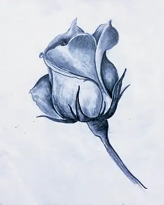A blue rosebud on a long stem
The Crossroads, Issue 28 · Pongal issue
