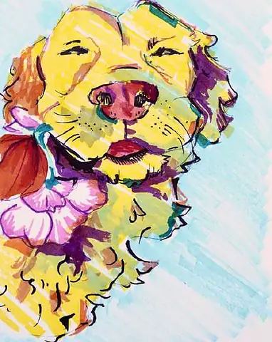 A dog's face surrounded by flowers, in bright felt-tip strokes
The Crossroads, Issue 32 · August 2026