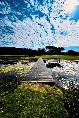 Photograph of a wooden jetty running out across a lily pond under a sky of small white clouds
The Crossroads, Issue 33 · October 2026