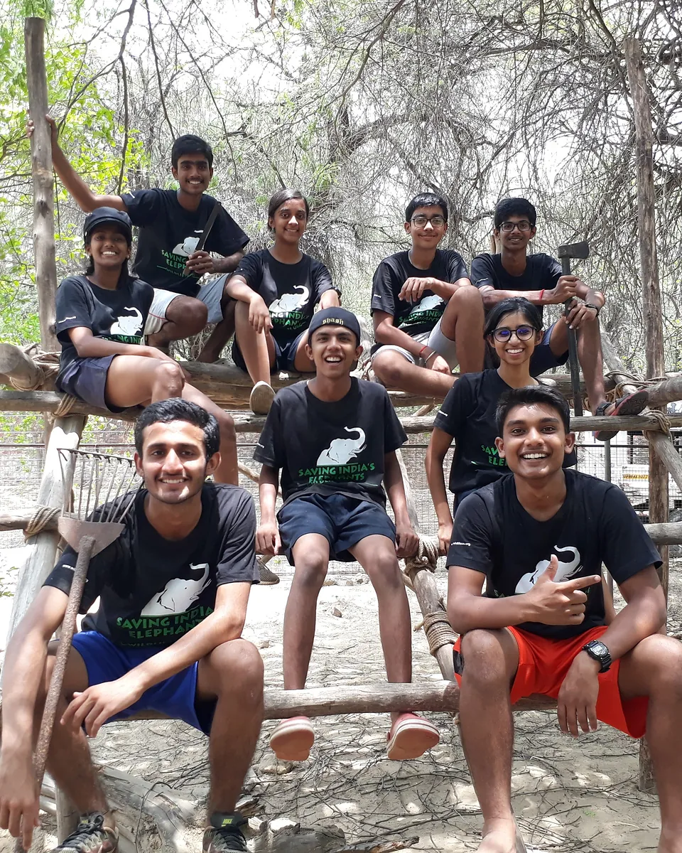 Senior students sitting together, laughing, on a platform of logs among the trees